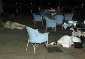 Image of Bodies lie near the swimming pool of the Taj Mahal hotel after shootings by unidentified assailants in Mumbai November 26, 2008. Elite Indian commandos fought room-to-room battles with Islamist militants inside two luxury hotels to save scores of people trapped or taken hostage, as the country's prime minister blamed neighbouring countries. Picture taken November 26, 2008.