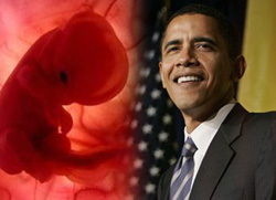Image of On March 9, 2009, President Obama extended the ability of the federal government to directly fund the destruction of embryonic human beings in order to advance stem-cell research. We should be clear about what is happening here.