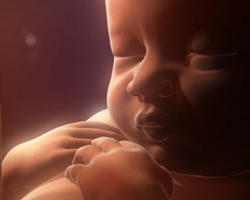 Image of Do you ever hear from NOW or NARAL when only baby girls are aborted in China or India? Do you ever hear from them when women here in this country are coerced or pressured by their employers, husbands, parents or boyfriends to have an abortion?