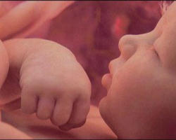 Image of I will never apologize for being “extreme” in my views against abortion. I will not allow people to put me on the defensive.  As long as there is a breathe in me, I will speak out about the violence of abortion in a peaceful loving way, educating and changing hearts one person at a time with the truth.