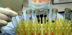 Image of The pro-abortion (pro-choice) forces in our society are adamantly opposed to any suggestion of even the earliest human embryo being recognized as human. In the mind of these ideologues it is essential to continue to promote the perception that these early human embryos are “just a clump of cells” that should be used for advancing medical cures.
