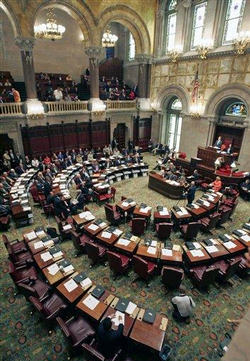 Image of The New York Senate.