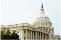 Image of 'Abortion neutral' is the favorite mantra being used by all the pro-abortion Catholics supporting this bill.