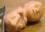 Image of Plastic human fetus dolls - soft, in pink and brown, and about 4 inches long - have been handed out at Oakwood Elementary School.