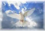 Image of The first time our Blessed Mother received the gift of the Holy Spirit, Jesus took on a physical body. When our Blessed Mother and the Apostles received the gift of the Holy Spirit at Pentecost, Jesus took on a mystical body--the Church.