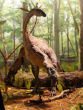Image of Evolutionary biologists explain that modern birds may be among the closest living relatives to dinosaurs.