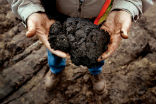 Image of Tar sands are much more sand than oil. They require water and chemical additives to flow through pipelines.