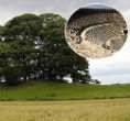 Image of The largest Roman amphitheater in England has been discovered buried under a Yorkshire hilltop. 