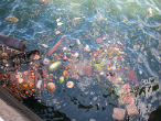 Image of For years,everything, including the kitchen sink, has been dumped into the ocean, with deadly results.
