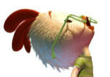 Image of We must not worry about the acorns