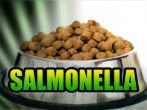 Image of Due to handling tainted dog food, at least 14 people have fallen ill of salmonella.