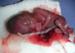 Image of This is not our freedom or our choice or our 