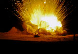Image of Capital punishment, North Korean style.