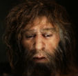 Image of Neanderthal men looked similar to modern humans, with a few notable differences. This is a waxen model. 