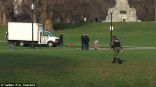Image of A man was taken into custody after the attack. It is unknown if the unidentified individual was a suspect related to the attack. 