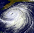 Image of Expect to see more of this in 2013. 