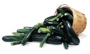 Image of The smaller Zucchini are more tender and flavor filled. Look for the Zucchini with the brightest color and no skin damage. If you are blessed to be growing zucchini in your garden, a fun garnish to your plate is the flower. The zucchini flower is edible and considered a true delicacy in many countries.

