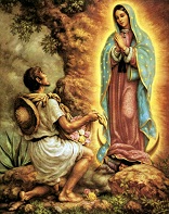 Image of 