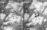 Image of The before and after image that shows where the mysterious rock appeared. 