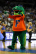Image of University of Florida has advanced into the 