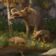 Image of A new study suggests that the earliest American natives hunted to extinction, a precursor to modern elephants.
