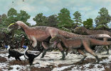 Image of Most dinosaurs may have had feathers, a new study suggests.