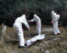 Image of The Ebola outbreak in West Africa has caused the deaths of more than 1,300 people, and currently seems beyond control even as experimental drugs are raced to the affected regions.