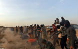 Image of Forced to chant praised to their executioners, jubilant ISIS terrorists killed approximately 250 Syrian prisoners. 