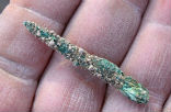 Image of This copper awl, discovered in Israel near the Jordan River suggests that metal use occurred earlier than previously thought.