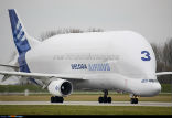 Image of Airbus currently operates five Beluga airbuses, which are the primary way in which the company transports airplane parts.