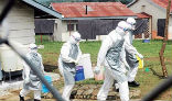 Image of Health workers in the Democratic Republic of the Congo. The Congo is facing a secondary outbreak of Ebola, unrelated to the outbreak in West Africa.