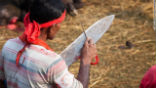 Image of About 5 million Hindus from Nepal and neighboring India took part in a religious festival dedicated to the goddess Gadhimai where 10,000 Buffalo calves and 150,000 goats were slaughtered.