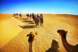 Image of Africa used to have massive grasslands and savannas, where now there is only desert.