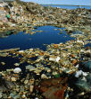 Image of Human pollution and exploitation fo the ocean is resulting in mass extinction for numerous marine animals.