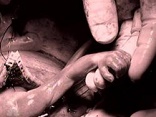 Image of The great human rights movement of our age is the struggle to restore to the Civil and positive law the legal recognition of the fundamental Human Right to Life. It is already a fundamental human right, and one which can never be taken away. This Right to Life is the foundation of all other rights. It is the first solidarity issue. The child in the womb is our innocent neighbor. It is wrong to kill any innocent neighbor. We know this and we have perpetuated the lie for too long. 