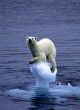Image of Global warming may not be as real as scientists want you to believe, according to weather trending research.