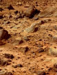 Image of Liquid water has been found in Martian soil, but that doesn't mean life is likely to be found.
