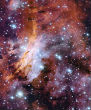 Image of The Prawn Nebula -dense concentration of ionized gas and dust- 'births' three clusters of newborn stars captured with the MPG/ESO 2.2 metre telescope at the La Silla Observatory in Chile as part of ESO's Cosmic Gems program.