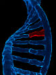 Image of Study suggests 90 percent of cancers can be prevented.