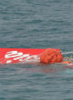 Image of AirAsia Flight 8501 crashed into the Java Sea nearly one year ago. Untrained pilots have been blamed for the crash (Adek Berry).
