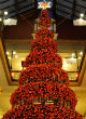 Image of Sydney's historic Strand Arcade featured a tree that held 2,000 baubles, 1,000 fairy lights and 200 butterflies (StrandArcade.com).