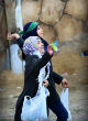Image of The nauseating celebration was captured on camera (Mohammed Yasin Photography).