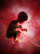 Image of In an effort to distance themselves from the reality of murder, pro-choice lobbyists support new term (patheos).