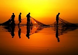 Image of Lower your nets for a catch