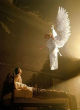 Image of Christians continue to share their stories of miraculous intervention (Pinterest).