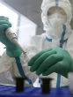 Image of Zika can be spread in several ways, so how can you stay out of harm's way(Getty Images)?