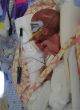 Image of Lily was only about the length of a ballpoint pen when she was born (Michelle Roberts-Cobbing).