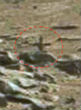 Image of An image of Mars reveals what may be an ancient church (NASA).