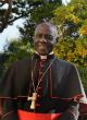 Image of The Vatican's liturgy chief asks priests to celebrate Mass facing east (@Card_R_Sarah/Twitter).