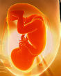 Image of UN rules abortion ban in Ireland violates human rights (appshopper).
